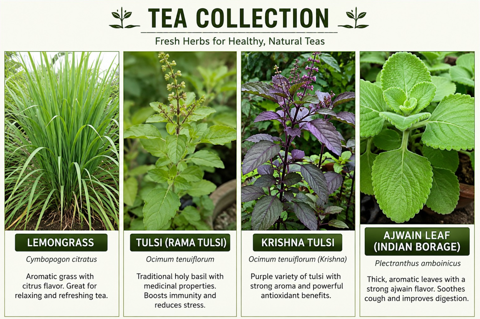 SmartGrow Tea Collection